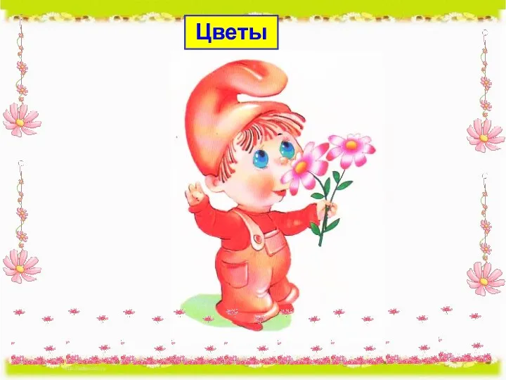 Цветы