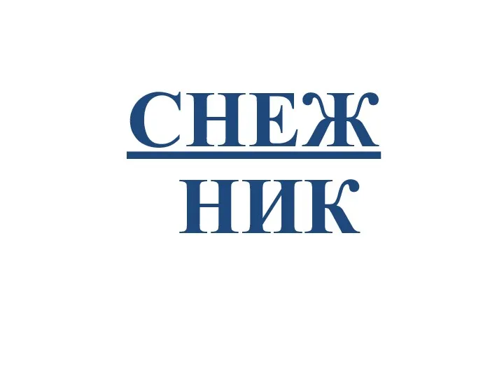 СНЕЖ НИК