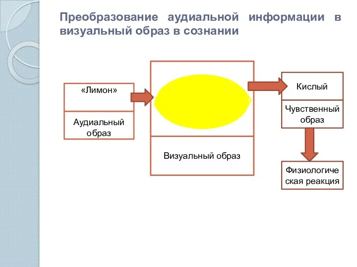 Преобразование аудиальной информации в визуальный образ в сознании «Лимон» Аудиальный