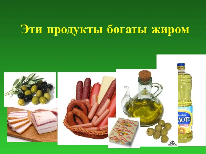 Эти продукты богаты жиром