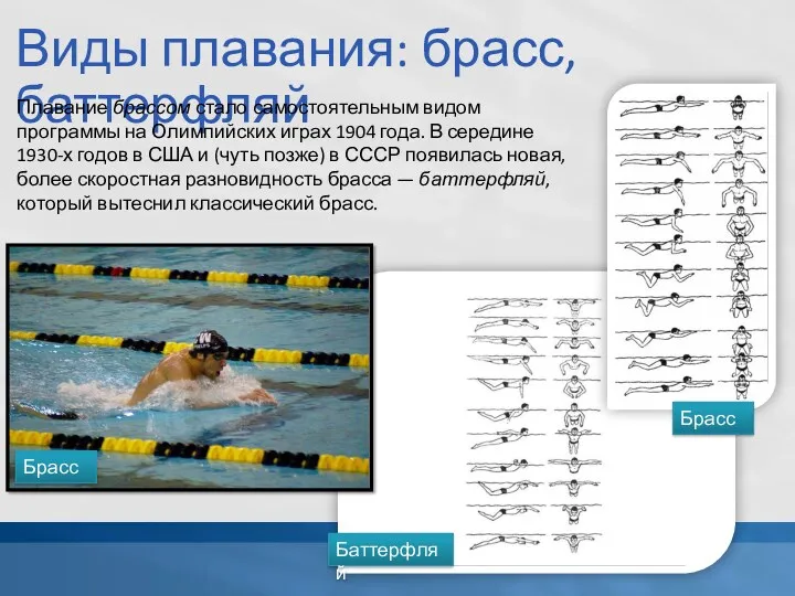Виды плавания: брасс, баттерфляй Плавание брассом стало самостоятельным видом программы на Олимпийских играх
