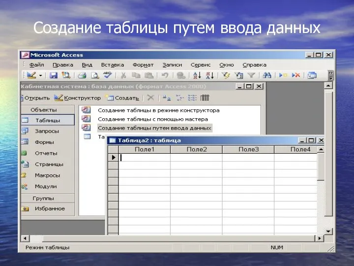 Создание таблицы путем ввода данных