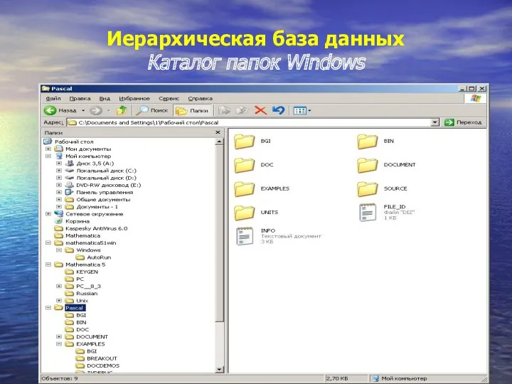 Иерархическая база данных Каталог папок Windows