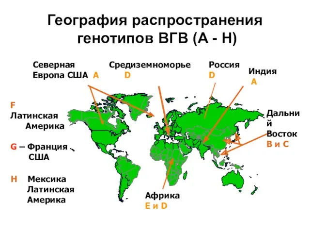 F – Латинская Америка G – Франция США H – Мексика Латинская Америка