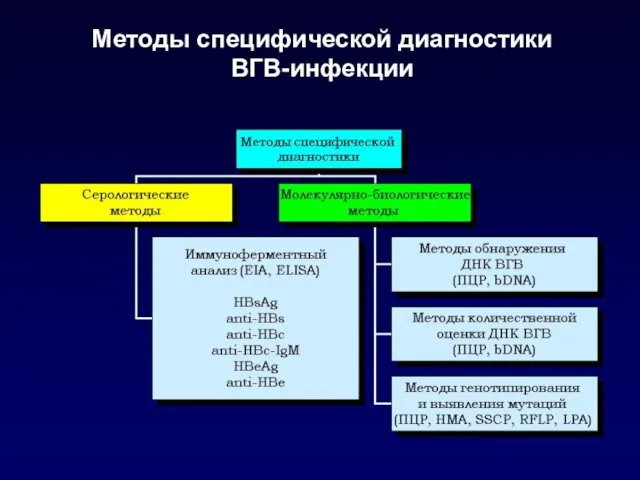 Методы специфической диагностики ВГВ-инфекции