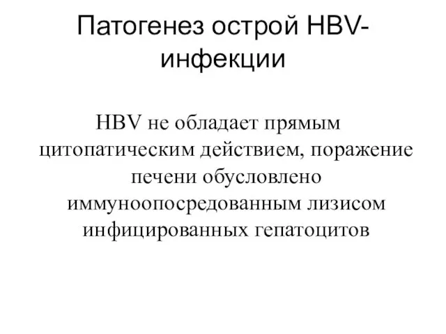 Патогенез острой HBV-инфекции HBV не обладает прямым цитопатическим действием, поражение печени обусловлено иммуноопосредованным лизисом инфицированных гепатоцитов