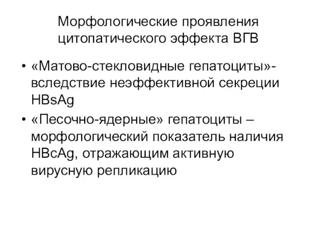 Морфологические проявления цитопатического эффекта ВГВ «Матово-стекловидные гепатоциты»- вследствие неэффективной секреции HBsAg «Песочно-ядерные» гепатоциты