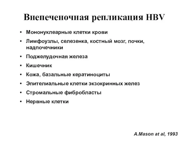Внепеченочная репликация HBV
