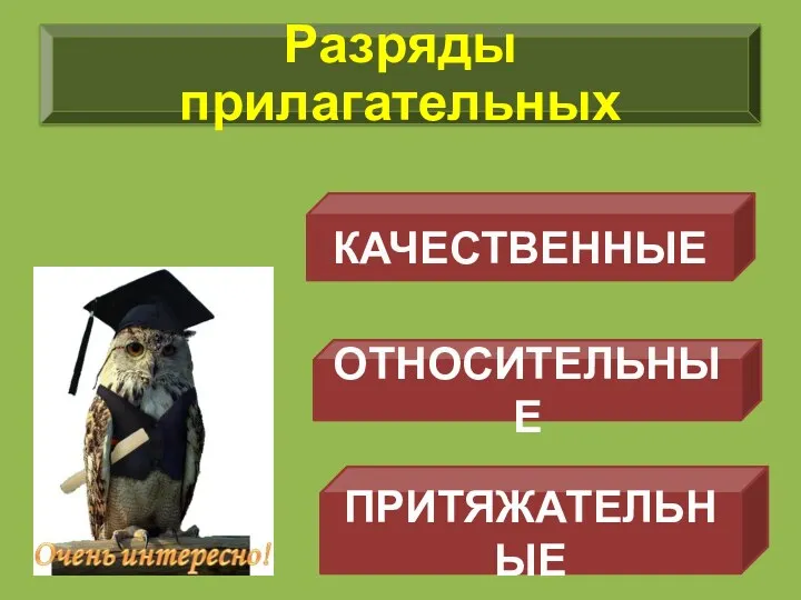 КАЧЕСТВЕННЫЕ ОТНОСИТЕЛЬНЫЕ ПРИТЯЖАТЕЛЬНЫЕ