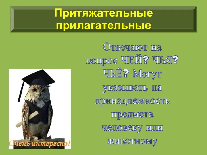 Отвечают на вопрос ЧЕЙ? ЧЬЯ? ЧЬЁ? Могут указывать на принадлежность предмета человеку или животному