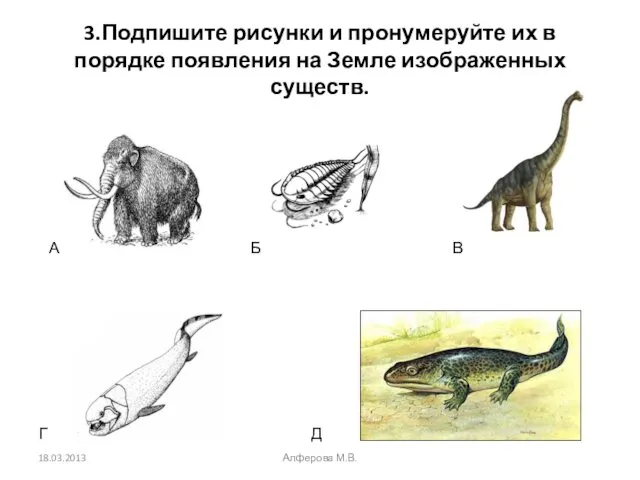 3.Подпишите рисунки и пронумеруйте их в порядке появления на Земле изображенных существ. А