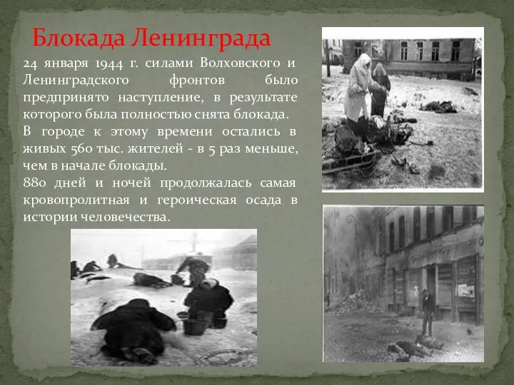 24 января 1944 г. силами Волховского и Ленинградского фронтов было предпринято наступление, в