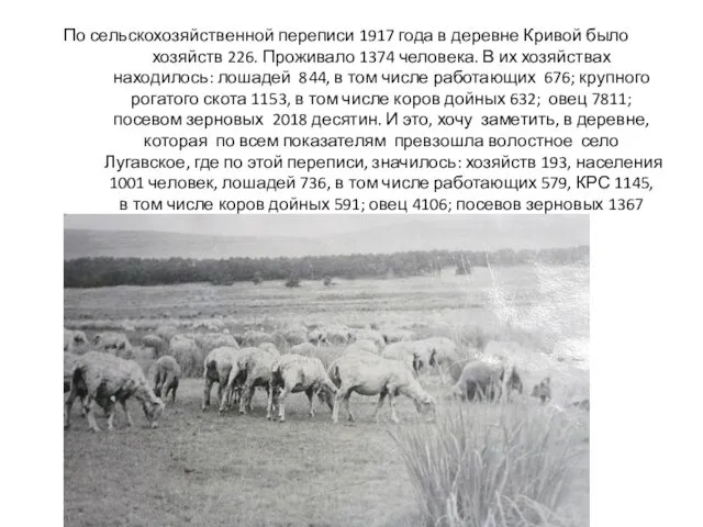 По сельскохозяйственной переписи 1917 года в деревне Кривой было хозяйств 226. Проживало 1374