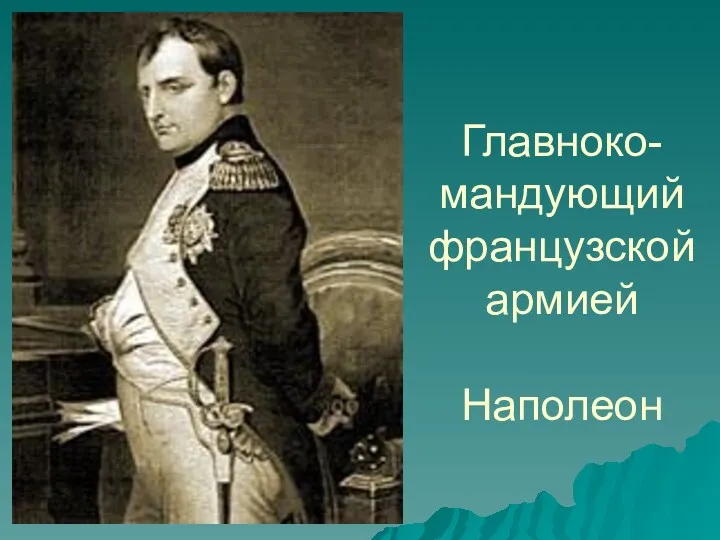 Главноко-мандующий французской армией Наполеон