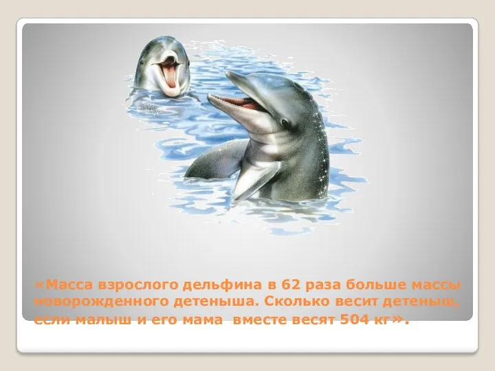 «Масса взрослого дельфина в 62 раза больше массы новорожденного детеныша. Сколько весит детеныш,
