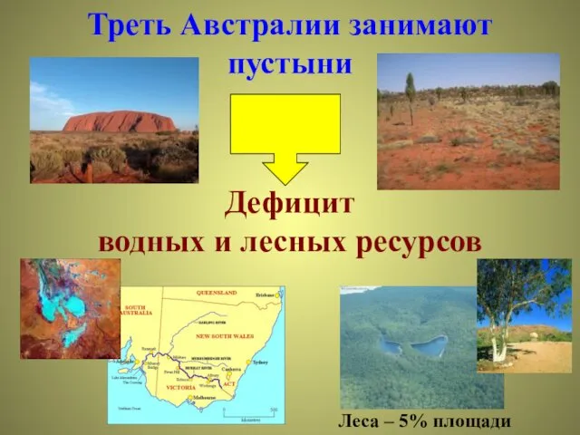 Треть Австралии занимают пустыни Дефицит водных и лесных ресурсов Леса – 5% площади