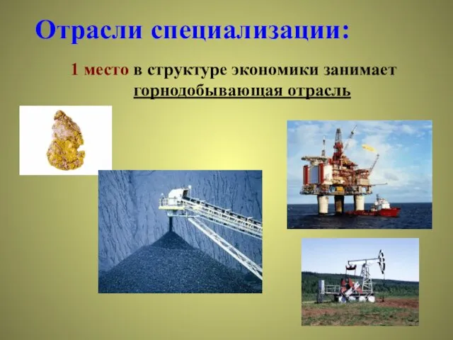 Отрасли специализации: 1 место в структуре экономики занимает горнодобывающая отрасль