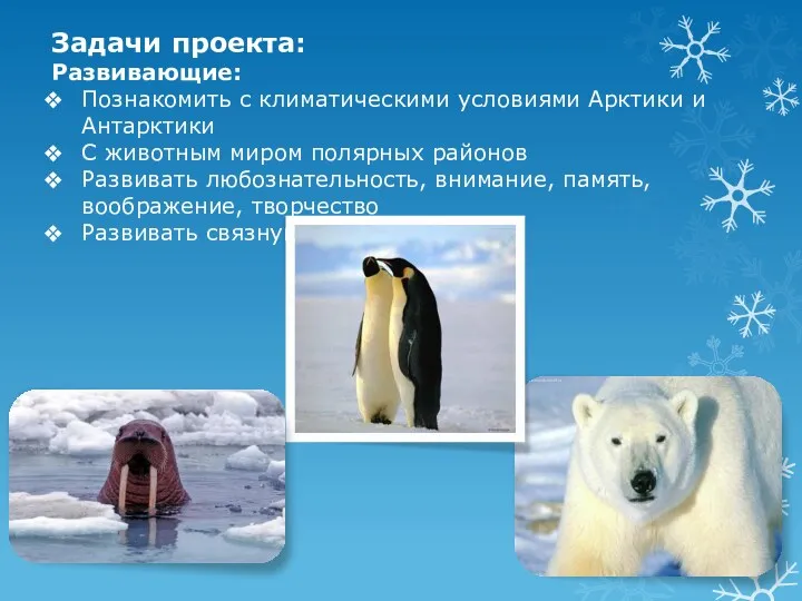 Задачи проекта: Развивающие: Познакомить с климатическими условиями Арктики и Антарктики С животным миром