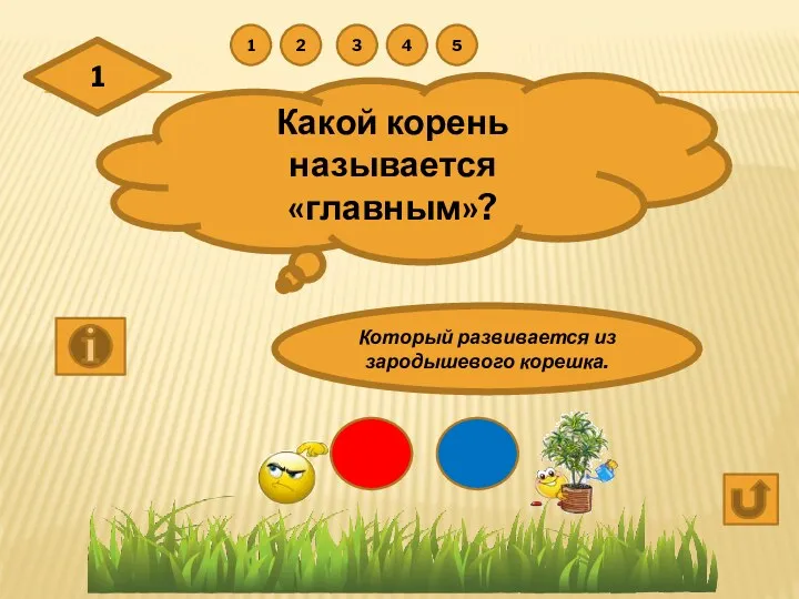 1 Какой корень называется «главным»? Который развивается из зародышевого корешка. 1 2 3 4 5