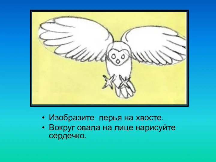 Изобразите перья на хвосте. Вокруг овала на лице нарисуйте сердечко.