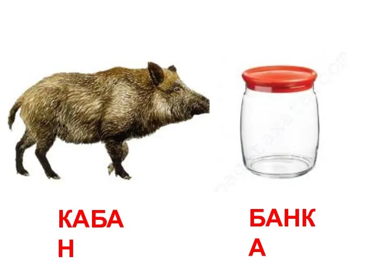 КАБАН БАНКА