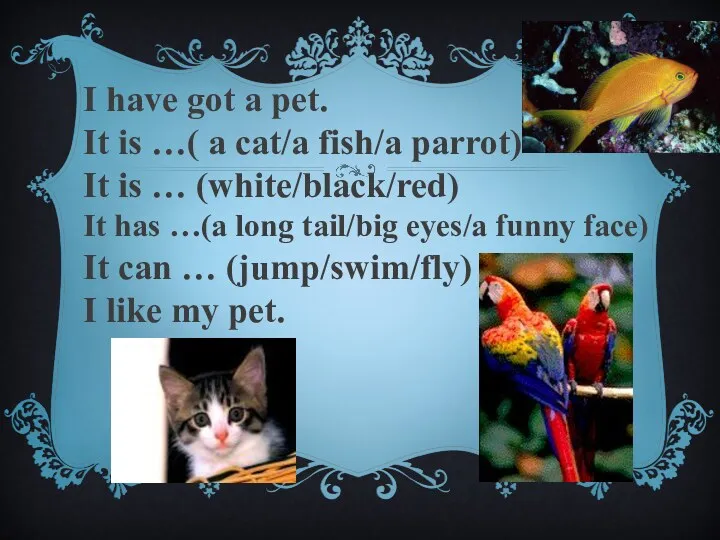 I have got a pet. It is …( a cat/a fish/a parrot) It