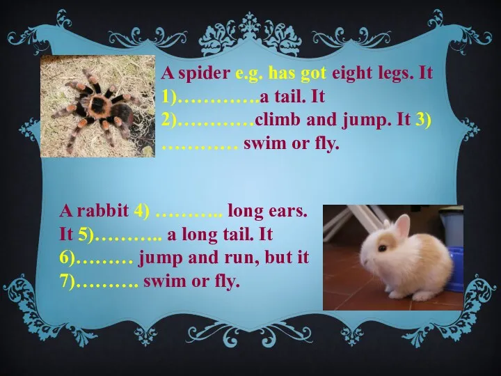 A spider e.g. has got eight legs. It 1)………….a tail. It 2)…………climb and