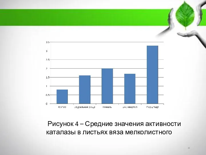 Рисунок 4 – Средние значения активности каталазы в листьях вяза мелколистного