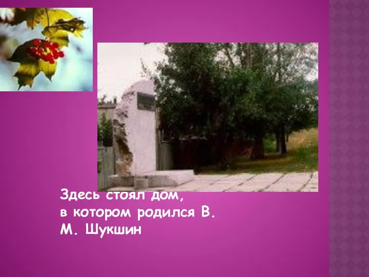 Здесь стоял дом, в котором родился В.М. Шукшин