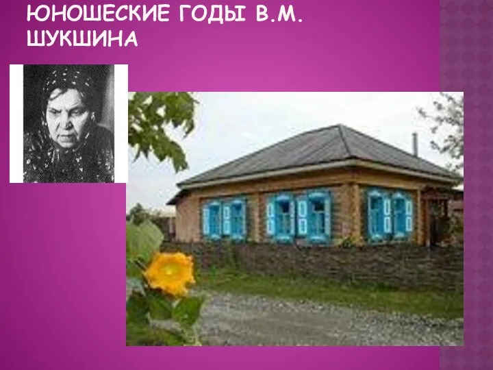 Дом, где прошли детские и юношеские годы В.М. Шукшина