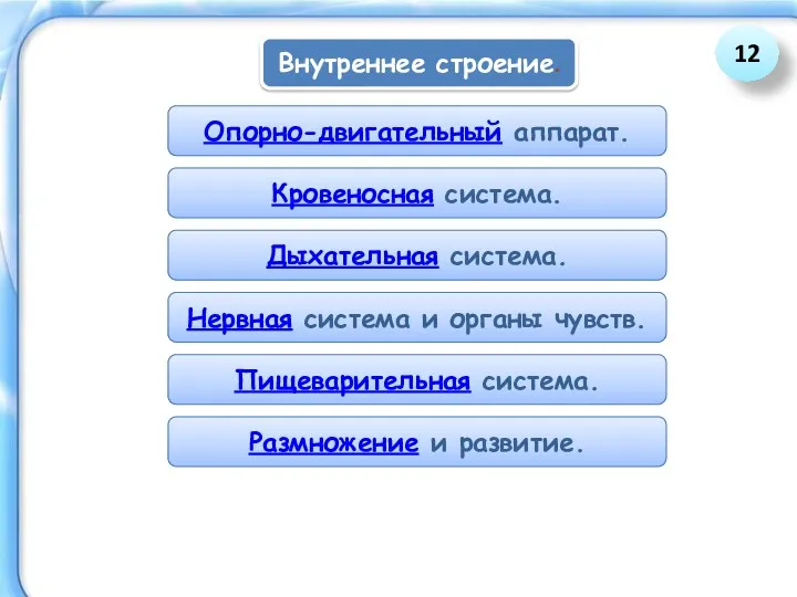 Внутреннее строение. Опорно-двигательный аппарат. Кровеносная система. Дыхательная система. Нервная система