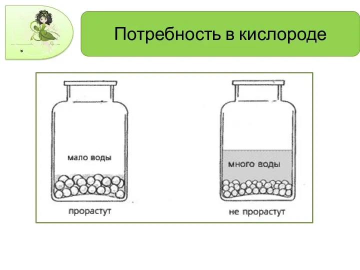 Потребность в кислороде