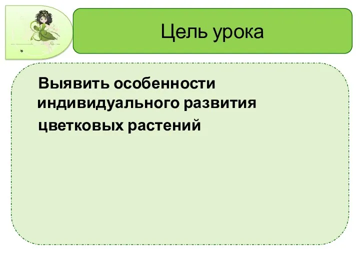 Цель урока Выявить особенности индивидуального развития цветковых растений