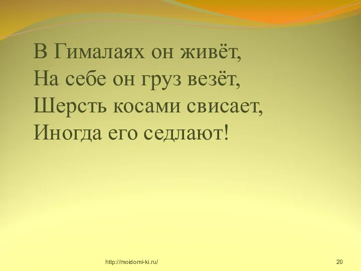 В Гималаях он живёт, На себе он груз везёт, Шерсть косами свисает, Иногда его седлают! http://moidomi-ki.ru/