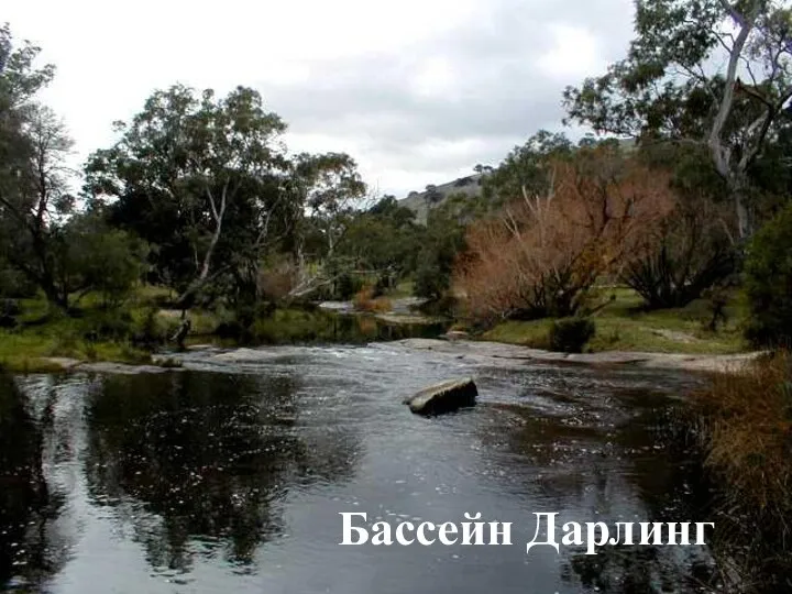 Бассейн Дарлинг