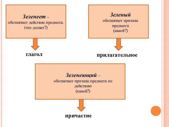 Зеленеет – обозначает действие предмета. (что делает?) Зеленый обозначает признак