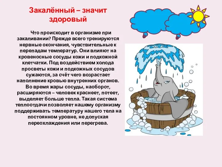 Закалённый – значит здоровый Что происходит в организме при закаливании? Прежде всего тренируются