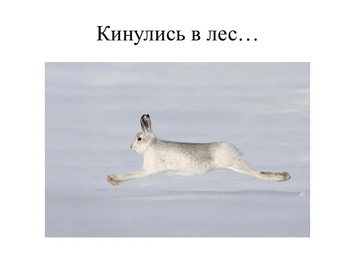 Кинулись в лес…