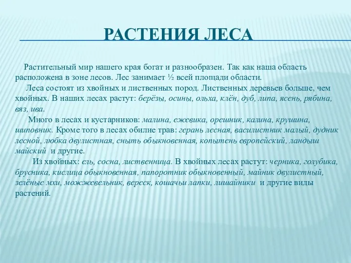 Растения леса Растительный мир нашего края богат и разнообразен. Так