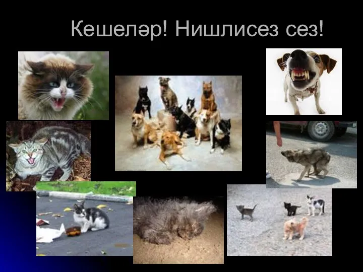 Кешеләр! Нишлисез сез!