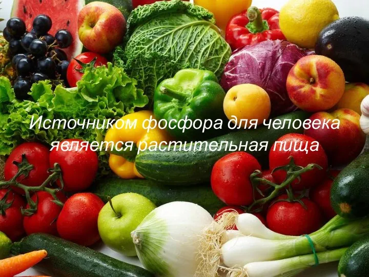 Источником фосфора для человека является растительная пища