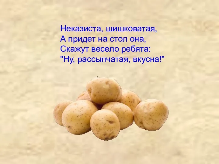 Неказиста, шишковатая, А придет на стол она, Скажут весело ребята: "Ну, рассыпчатая, вкусна!"