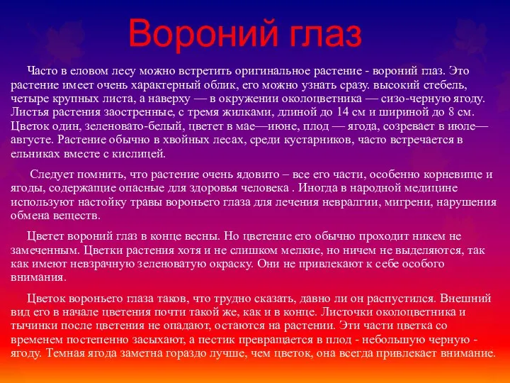 Вороний глаз Часто в еловом лесу можно встретить оригинальное растение - вороний глаз.