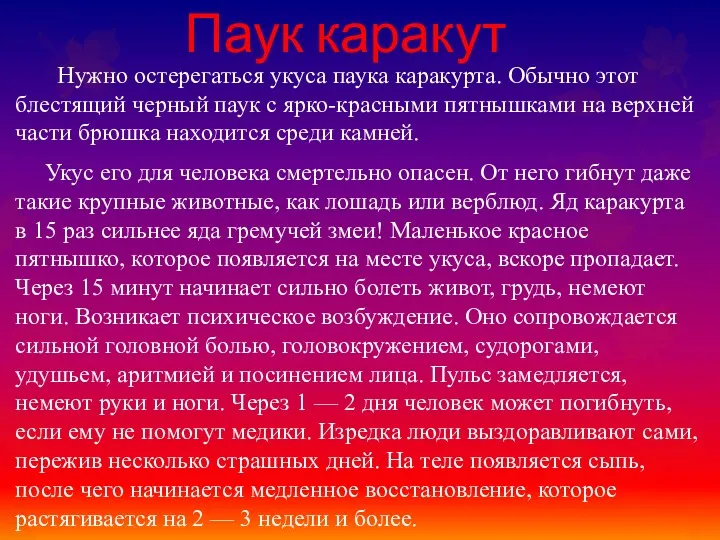 Паук каракут Нужно остерегаться укуса паука каракурта. Обычно этот блестящий