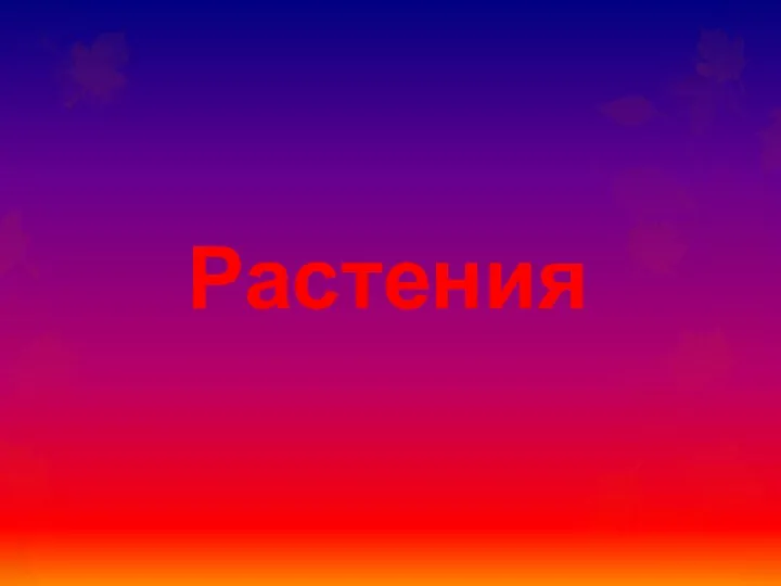 Растения