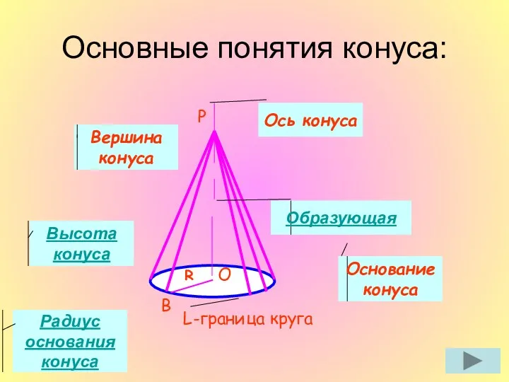 B P O R L-граница круга Ось конуса Вершина конуса