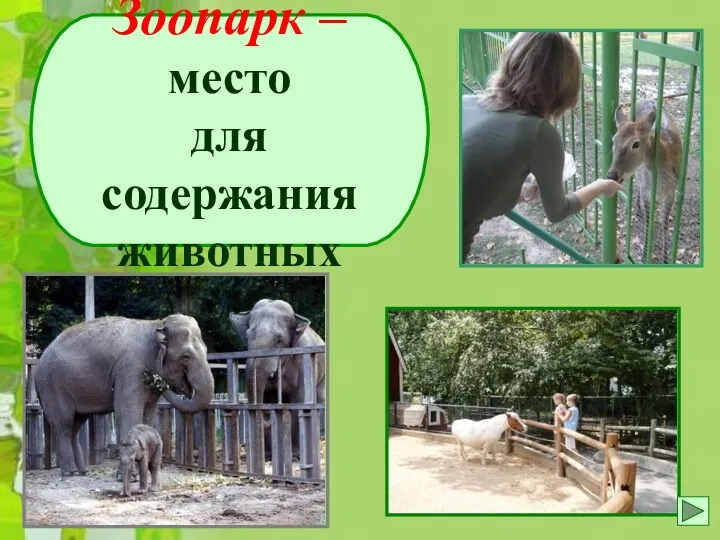 Зоопарк – место для содержания животных