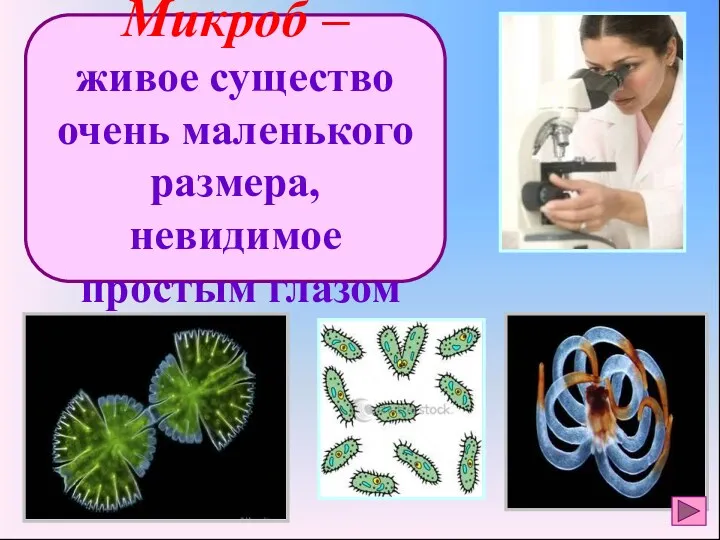 Микроб – живое существо очень маленького размера, невидимое простым глазом