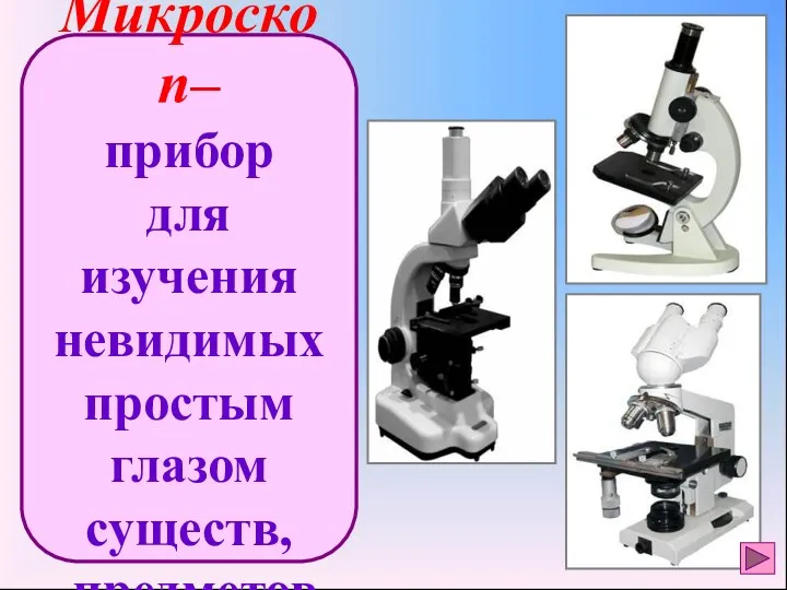 Микроскоп– прибор для изучения невидимых простым глазом существ, предметов