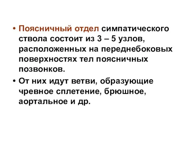 Поясничный отдел симпатического ствола состоит из 3 – 5 узлов,